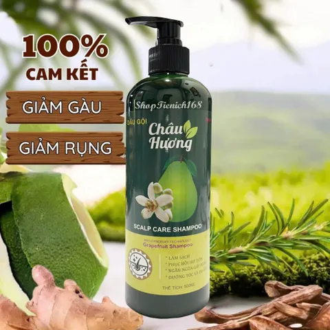 Dầu Gội, Dầu Xả  Châu Hương-Làm Sạch,Phục Hồi Hư Tổn,Ngừa gãy rụng,Dưỡng tóc và Da Đầu 810992