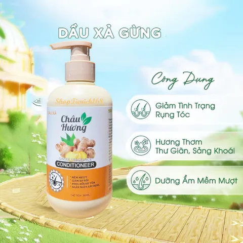 Dầu Gội, Dầu Xả  Châu Hương-Làm Sạch,Phục Hồi Hư Tổn,Ngừa gãy rụng,Dưỡng tóc và Da Đầu 810992