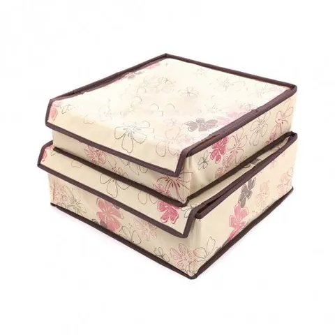 [HOT] Bộ 2 khay đựng đồ lót TI166