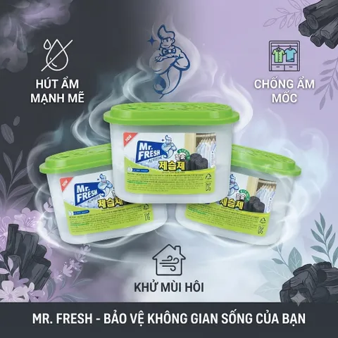 🌿COMBO 3 HỘP HÚT ẨM MR. FRESH – THAN HOẠT TÍNH | GIẢI PHÁP HÚT ẨM, KHỬ MÙI CHO KHÔNG GIAN SỐNG