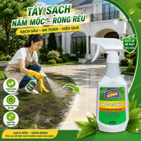 🟢 GOLDEN KING MOSS CLEANER 500ML – TẨY RONG RÊU, NẤM MỐC HIỆU QUẢ