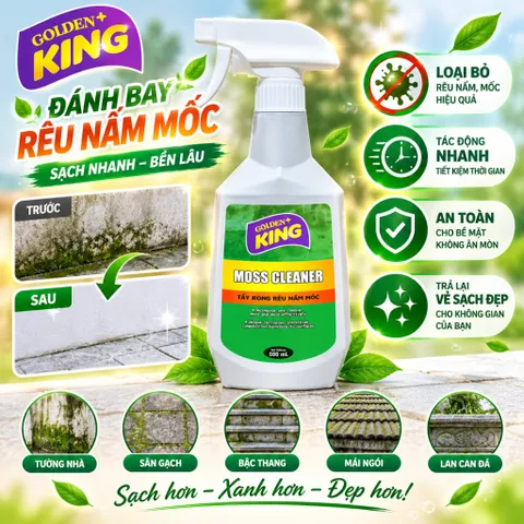 🟢 GOLDEN KING MOSS CLEANER 500ML – TẨY RONG RÊU, NẤM MỐC HIỆU QUẢ