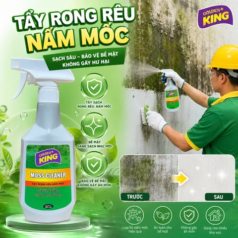 🟢 GOLDEN KING MOSS CLEANER 500ML – TẨY RONG RÊU, NẤM MỐC HIỆU QUẢ