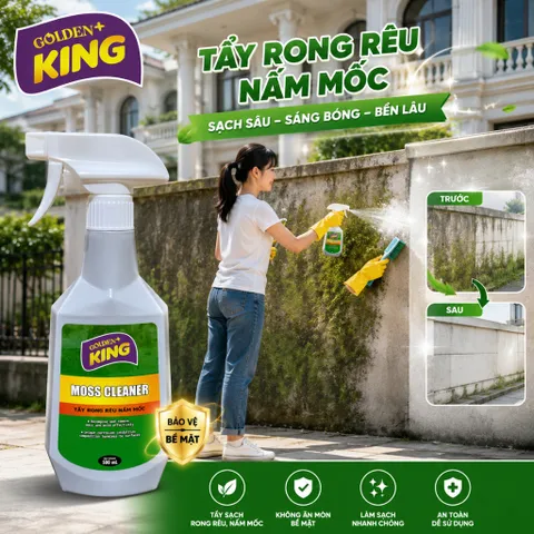 🟢 GOLDEN KING MOSS CLEANER 500ML – TẨY RONG RÊU, NẤM MỐC HIỆU QUẢ