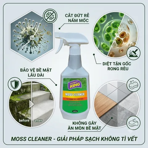 🟢 GOLDEN KING MOSS CLEANER 500ML – TẨY RONG RÊU, NẤM MỐC HIỆU QUẢ