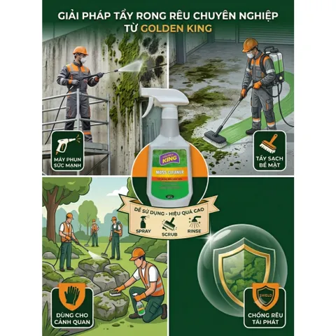 🟢 GOLDEN KING MOSS CLEANER 500ML – TẨY RONG RÊU, NẤM MỐC HIỆU QUẢ