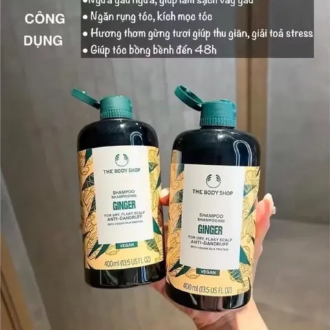 Dầu Gội Gừng Cho Tóc Khô Gàu 250ml 812108