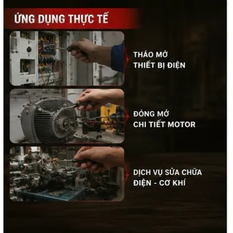 Combo 3 tua vít (1 bake trở đầu, 2 đóng bake và dẹp) 812122