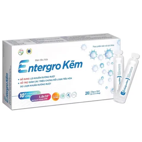 Men tiêu hóa Entergro Kẽm (Hộp 20 ống) Hỗ trợ giảm các triệu chứng  như tiêu chảy, đầy hơi, chướng bụng, khó tiêu