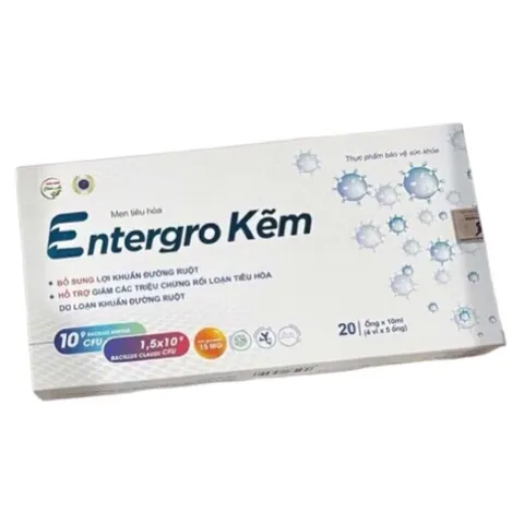 Men tiêu hóa Entergro Kẽm (Hộp 20 ống) Hỗ trợ giảm các triệu chứng  như tiêu chảy, đầy hơi, chướng bụng, khó tiêu