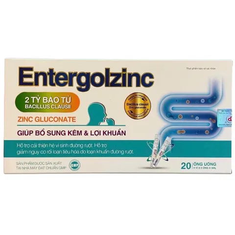 Men vi sinh Entergolzinc Akopha (Hộp 20 ống) Giúp bổ sung kẽm và lợi khuẩn hỗ trợ cải thiện hệ vi sinh đường ruột.