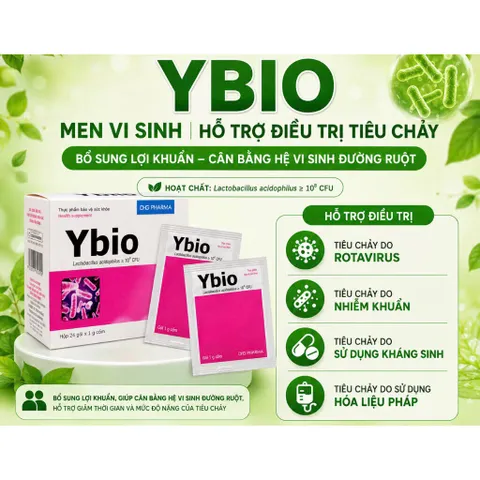 Cốm men vi sinh Ybio DHG Pharma (Hộp 24 gói) Hỗ trợ tiêu hóa giúp giảm tiêu chảy, táo bón, đầy bụng, ăn không tiêu