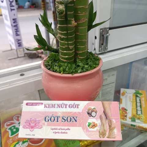 KEM NỨT GÓT GÓT SON (Tuýp 10g) Gót Son cho làn da mịn màng và đàn hồi chắc khỏe.