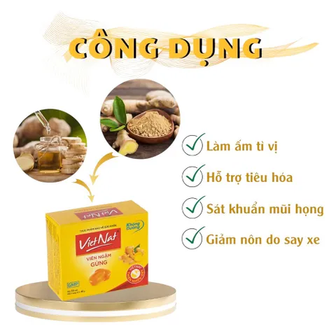 Viên Ngậm Gừng VietNat Không Đường (Hộp 20 viên) giúp làm ấm cơ thể và hỗ trợ tiêu hóa.