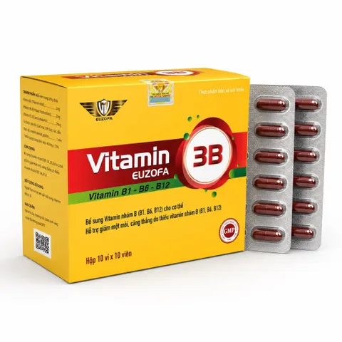 Viên uống Vitamin 3B Euzofa (Hộp 100 viên) Hỗ trợ cải thiện tình trạng suy nhược, mệt mỏi do làm việc căng thẳng