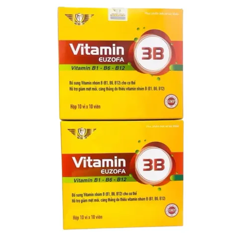 Viên uống Vitamin 3B Euzofa (Hộp 100 viên) Hỗ trợ cải thiện tình trạng suy nhược, mệt mỏi do làm việc căng thẳng
