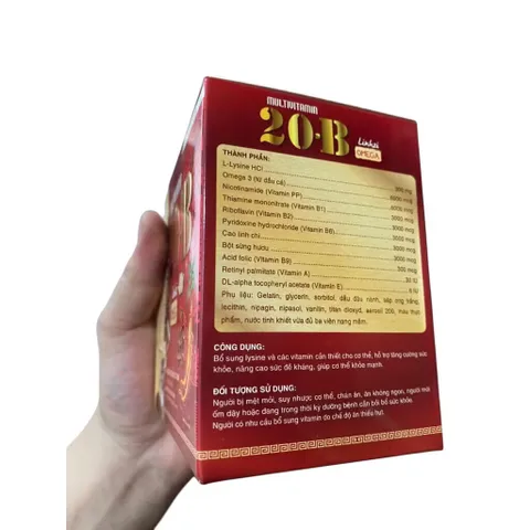 Viên uống 20-B Blinhzhi Gingseng Nấm Đông Trùng Hạ Thảo (Hộp 100 viên) Hỗ trợ giảm mệt mỏi, suy nhược cơ thể