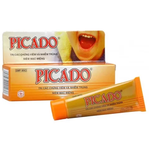 Gel bôi nhiệt miệng PICADO (Tuýp 10g) Giúp giảm các vết loét miệng, viêm nướu