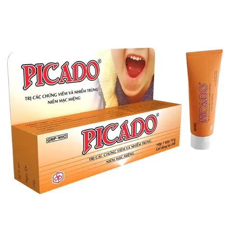 Gel bôi nhiệt miệng PICADO (Tuýp 10g) Giúp giảm các vết loét miệng, viêm nướu