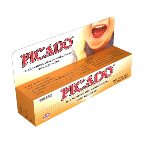 Gel bôi nhiệt miệng PICADO (Tuýp 10g) Giúp giảm các vết loét miệng, viêm nướu