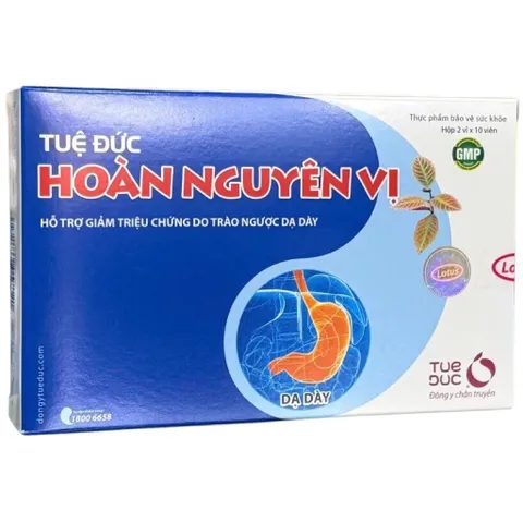 Viên uống Tuệ Đức Hoàn Nguyên Vị (Hộp 20 viên) Hỗ trợ giảm trào ngược dạ dày - thực quản