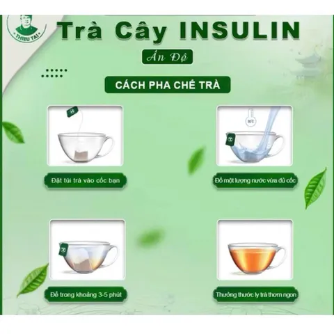 CHÍNH HÃNG TRÀ CÂY INSULIN ẤN ĐỘ MUA 5 TẶNG 2