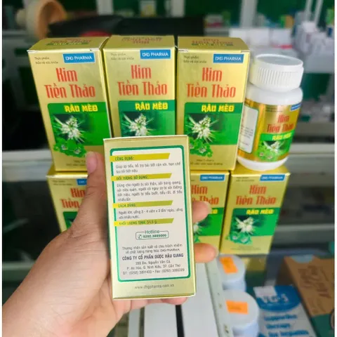 Kim Tiền Thảo Râu Mèo DHG ( chai 100 viên) hỗ trợ điều trị sỏi thận, sỏi tiết niệu, lợi tiểu.