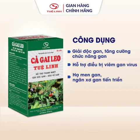 Cà Gai Leo Tuệ Linh [Chính hãng] - Giúp bảo vệ tăng cường chức năng gan, giải độc gan - Hộp 60 viên