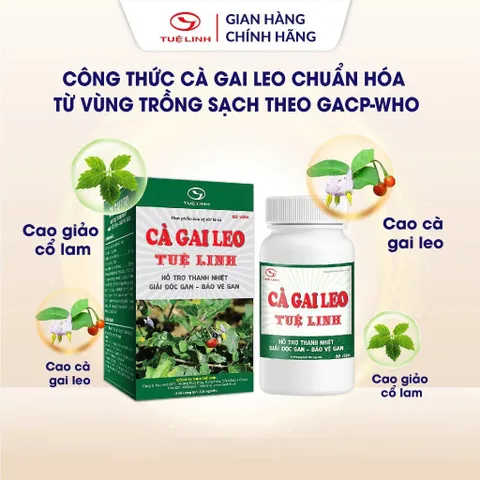 Cà Gai Leo Tuệ Linh [Chính hãng] - Giúp bảo vệ tăng cường chức năng gan, giải độc gan - Hộp 60 viên