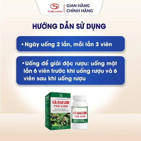 Cà Gai Leo Tuệ Linh [Chính hãng] - Giúp bảo vệ tăng cường chức năng gan, giải độc gan - Hộp 60 viên