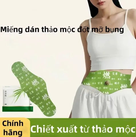 Miếng Dán Ngải Cứu Thảo Mộc Giảm Mỡ Vùng Bụng Giúp Giữ Ấm Hỗ Trợ Thải Độc Tự Nhiên Chăm Sóc Sức Khỏe.
