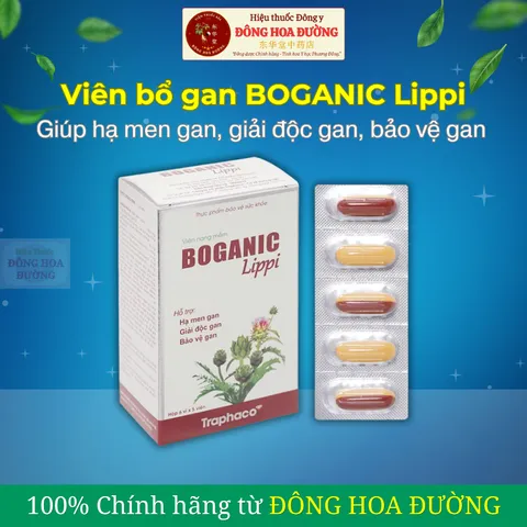 Viên bổ gan BOGANIC LIPPI (hộp 30 viên) - Giúp giải độc gan, người dị ứng, mẩn ngứa, mỡ trong máu cao - ĐÔNG HOA ĐƯỜNG
