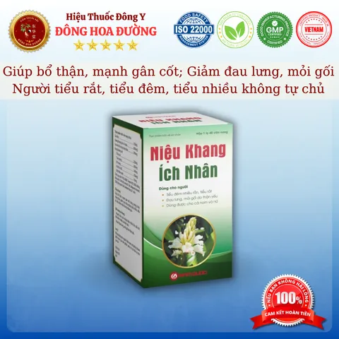 NIỆU KHANG ÍCH NHÂN (chai 40 viên) - Giúp giảm tiểu đêm, tiểu nhiều, tiểu rắt, tiểu không tự chủ - ĐÔNG HOA ĐƯỜNG