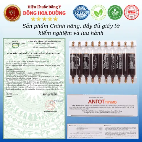 ANTOT THYMO TRAPHACO (hộp 20 ống) - Giúp tăng cường sức đề kháng cho người gầy yếu, trẻ em chậm phát triển