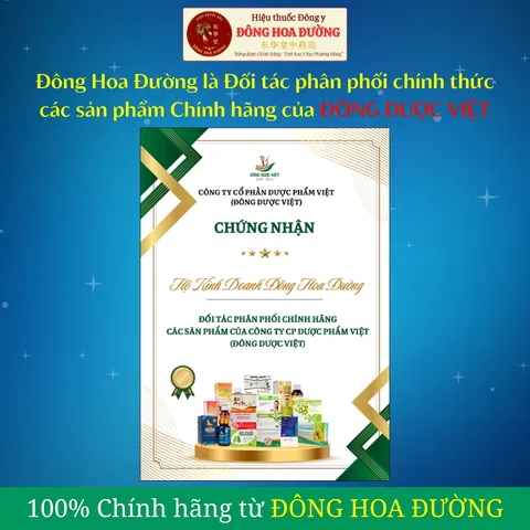Viên uống Bạch Đới Đông Dược Việt (Hộp 30 viên) Điều hòa kinh nguyệt, giảm đau bụng kinh, hỗ trợ bổ huyết cho phụ nữ