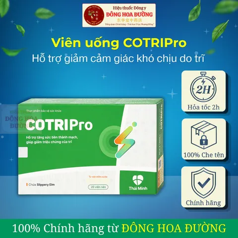 Viên uống CotriPro (Hộp 20 viên) Hỗ trợ tăng sức bền thành mạch, hỗ trợ giảm cảm giác khó chịu vùng hậu môn,