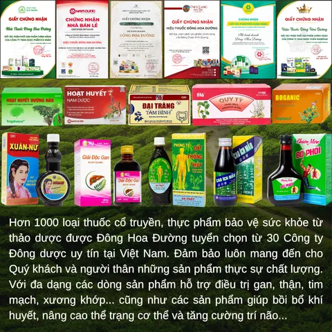 Viên DẠ DÀY KINGPHAR (hộp 40 viên) - Giảm acid dịch vị, ợ hơi, ợ chua, nóng rát; Bảo vệ niêm mạc dạ dày - ĐÔNG HOA ĐƯỜNG