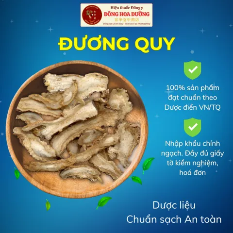 Đương Quy Thái Lát Nhập Khẩu Chính Ngạch | Đầy Đủ Kiểm Nghiệm CO CQ COA | Pha Trà Dưỡng Sinh Thơm Dịu Dùng Hằng Ngày