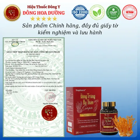 ĐÔNG TRÙNG HẠ THẢO SAPA (hộp 28 viên) - Giúp bổ phế, ích thận, tăng cường sức đề kháng cho người bị suy nhược cơ thể