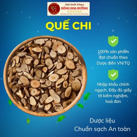 QUẾ CHI Nhập Khẩu Chính Ngạch | Đầy Đủ Giấy Tờ CO CQ COA | Giúp Làm Ấm Cơ Thể, Hỗ Trợ Lưu Thông Khí Huyết