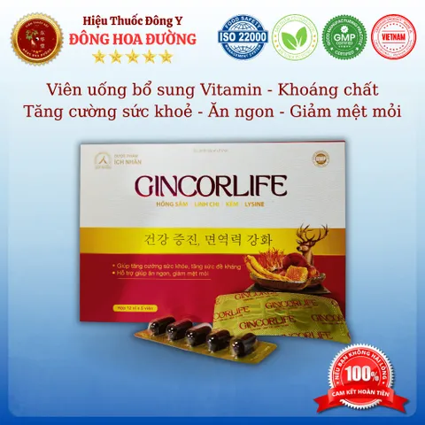 GINCORLIFE ÍCH NHÂN (hộp 60 viên) - Bổ sung vitamin và dưỡng chất từ Hồng sâm, Linh chi giúp ăn ngon, tăng sức đề kháng 813091