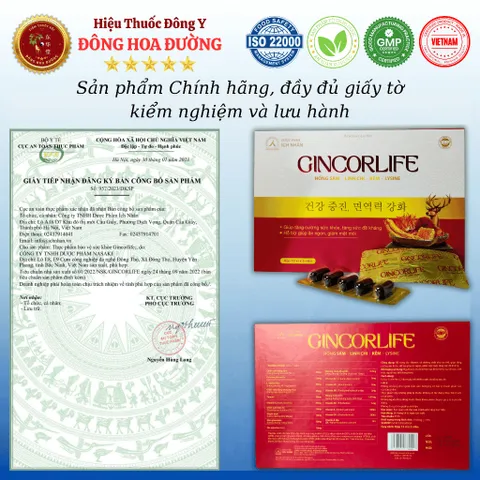 GINCORLIFE ÍCH NHÂN (hộp 60 viên) - Bổ sung vitamin và dưỡng chất từ Hồng sâm, Linh chi giúp ăn ngon, tăng sức đề kháng 813091