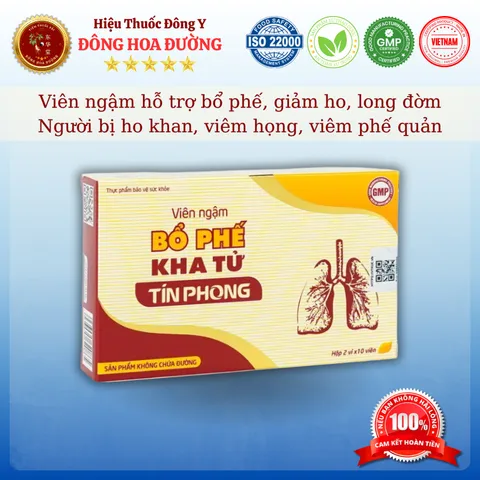 VIÊN NGẬM BỔ PHẾ KHA TỬ (hộp 20 viên) - Giúp bổ phổi, giảm ho, long đờm; Người bị ho khan, viêm họng - ĐÔNG HOA ĐƯỜNG