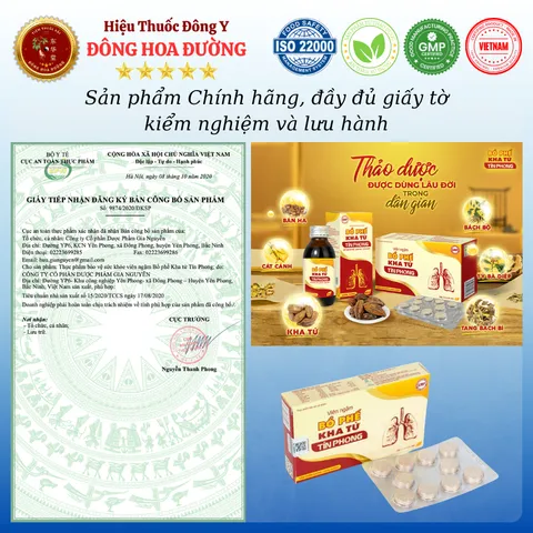 VIÊN NGẬM BỔ PHẾ KHA TỬ (hộp 20 viên) - Giúp bổ phổi, giảm ho, long đờm; Người bị ho khan, viêm họng - ĐÔNG HOA ĐƯỜNG