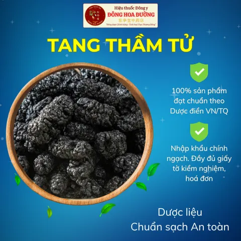 Tang Thầm Tử (Dâu Tằm Khô) Nhập Khẩu Chính Ngạch | Đầy Đủ Giấy Tờ CO, CQ, COA | Giúp Bổ Huyết, Đẹp Da, Ngủ Ngon