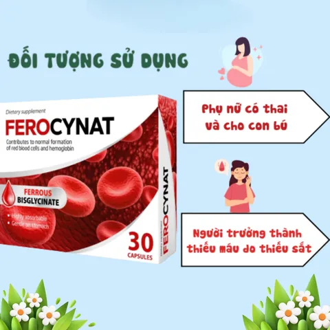 Viên Uống Bổ Sung Sắt Ferocynat Ba Lan - Hỗ Trợ Tăng Cường Sức Khỏe_Ngăn Ngừa TÌnh Trạng Thiếu Máu