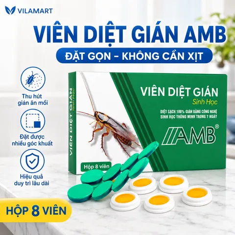 Thuốc Diệt Gián Sinh Học AMB – Diệt Nhiều Loại Gián, Dễ Sử Dụng, Hiệu Quả Cao