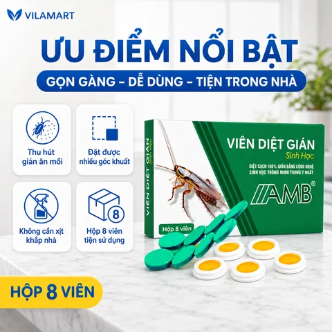Thuốc Diệt Gián Sinh Học AMB – Diệt Nhiều Loại Gián, Dễ Sử Dụng, Hiệu Quả Cao