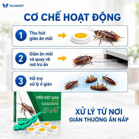 Thuốc Diệt Gián Sinh Học AMB – Diệt Nhiều Loại Gián, Dễ Sử Dụng, Hiệu Quả Cao