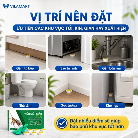 Thuốc Diệt Gián Sinh Học AMB – Diệt Nhiều Loại Gián, Dễ Sử Dụng, Hiệu Quả Cao